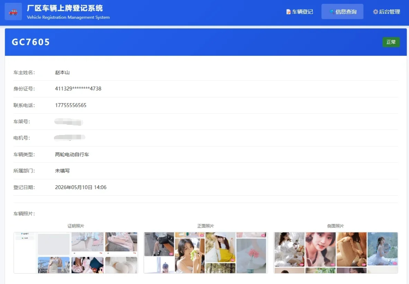 电动车信息录入与查询页面 车辆上牌登记系统界面截图 2